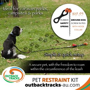 Pet Restraint Kit - Each